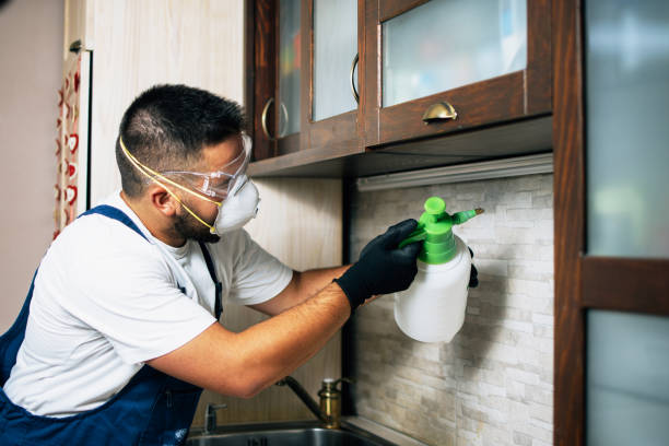 Best Cockroach Control Services  in Jewett City, CT