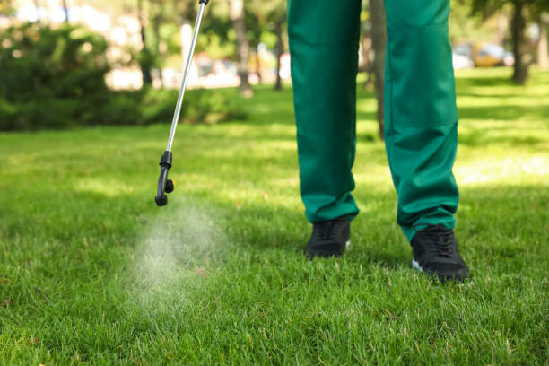 Best Local Pest Control Services  in Jewett City, CT