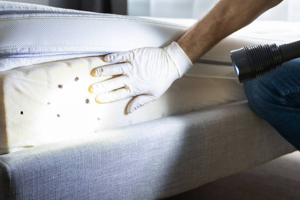 Best Commercial Pest Control Services  in Jewett City, CT